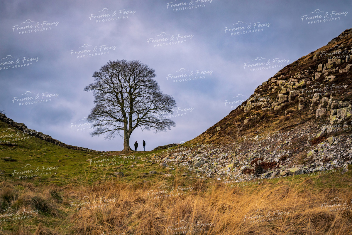 To buy a print or any of the below please click on the images